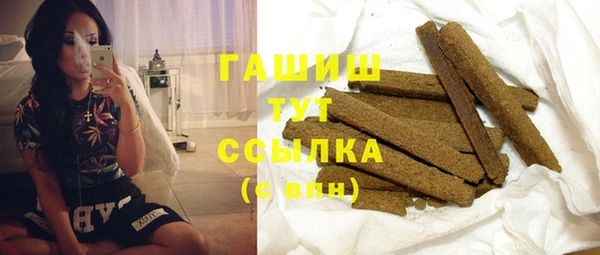 стаф Ельня