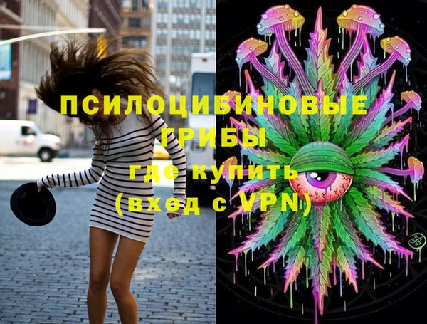 дмт Елизово