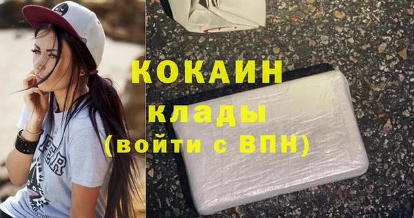 стаф Ельня