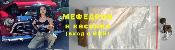 стаф Ельня