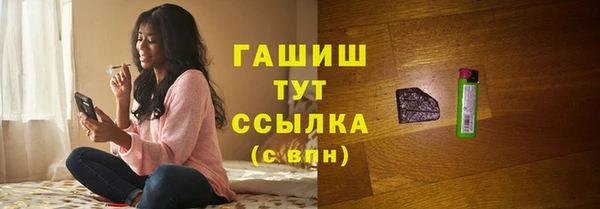 стаф Ельня