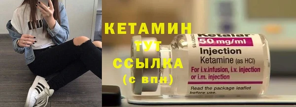 стаф Ельня