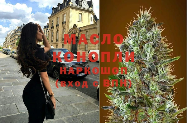 стаф Ельня