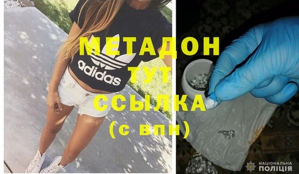 стаф Ельня