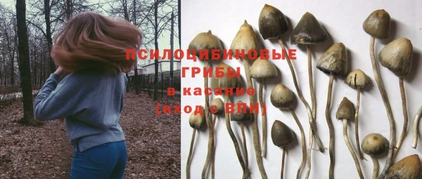 дмт Елизово