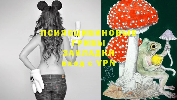 бошки Елабуга