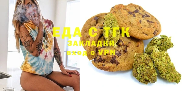 стаф Ельня
