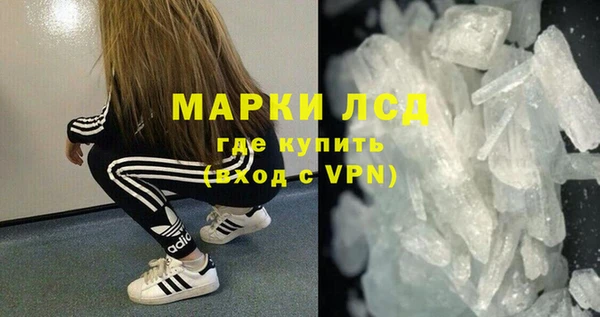 стаф Ельня