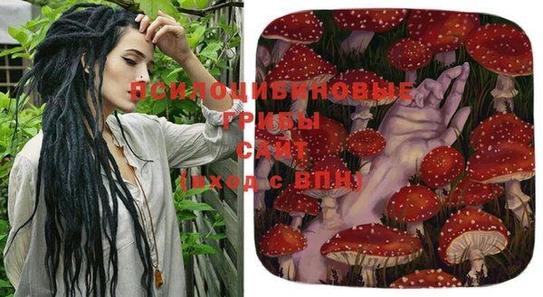 бошки Елабуга