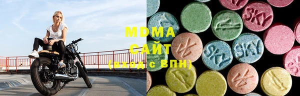 стаф Ельня