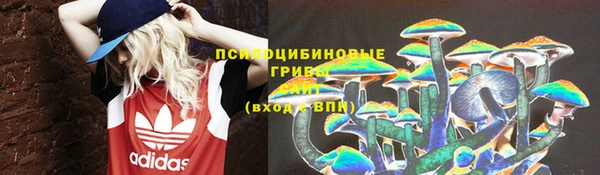 бошки Елабуга