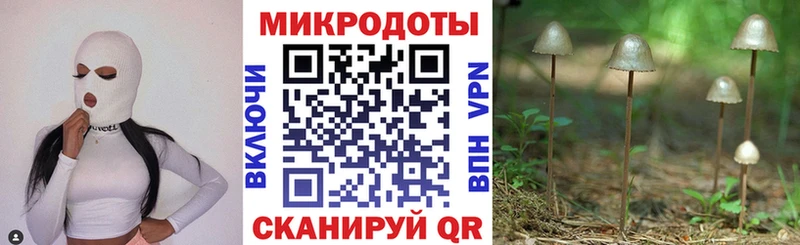 Псилоцибиновые грибы Cubensis  сколько стоит  Нефтекамск 